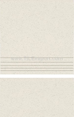 Floor_Tile--Porcelain_Tile,300X300[Full_Body],321T